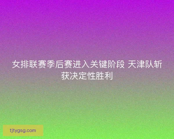 女排联赛季后赛进入关键阶段 天津队斩获决定性胜利