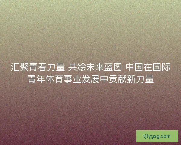 汇聚青春力量 共绘未来蓝图 中国在国际青年体育事业发展中贡献新力量