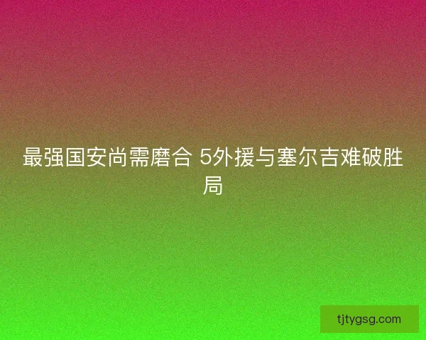 最强国安尚需磨合 5外援与塞尔吉难破胜局