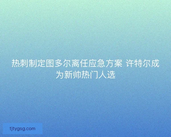 热刺制定图多尔离任应急方案 许特尔成为新帅热门人选